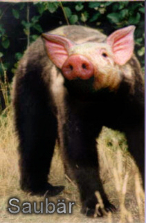 blitzblank oder Saubär